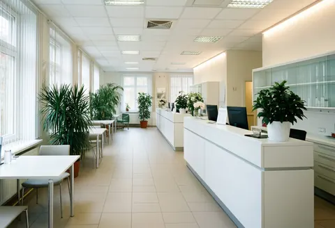 Réception dentaire moderne avec tables blanches, plantes vertes et lumière naturelle, ambiance propre et professionnelle.
