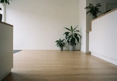 Réception d'école de langues avec sol en bois clair, murs blancs et plantes vertes décoratives, ambiance minimaliste et accueillante.
