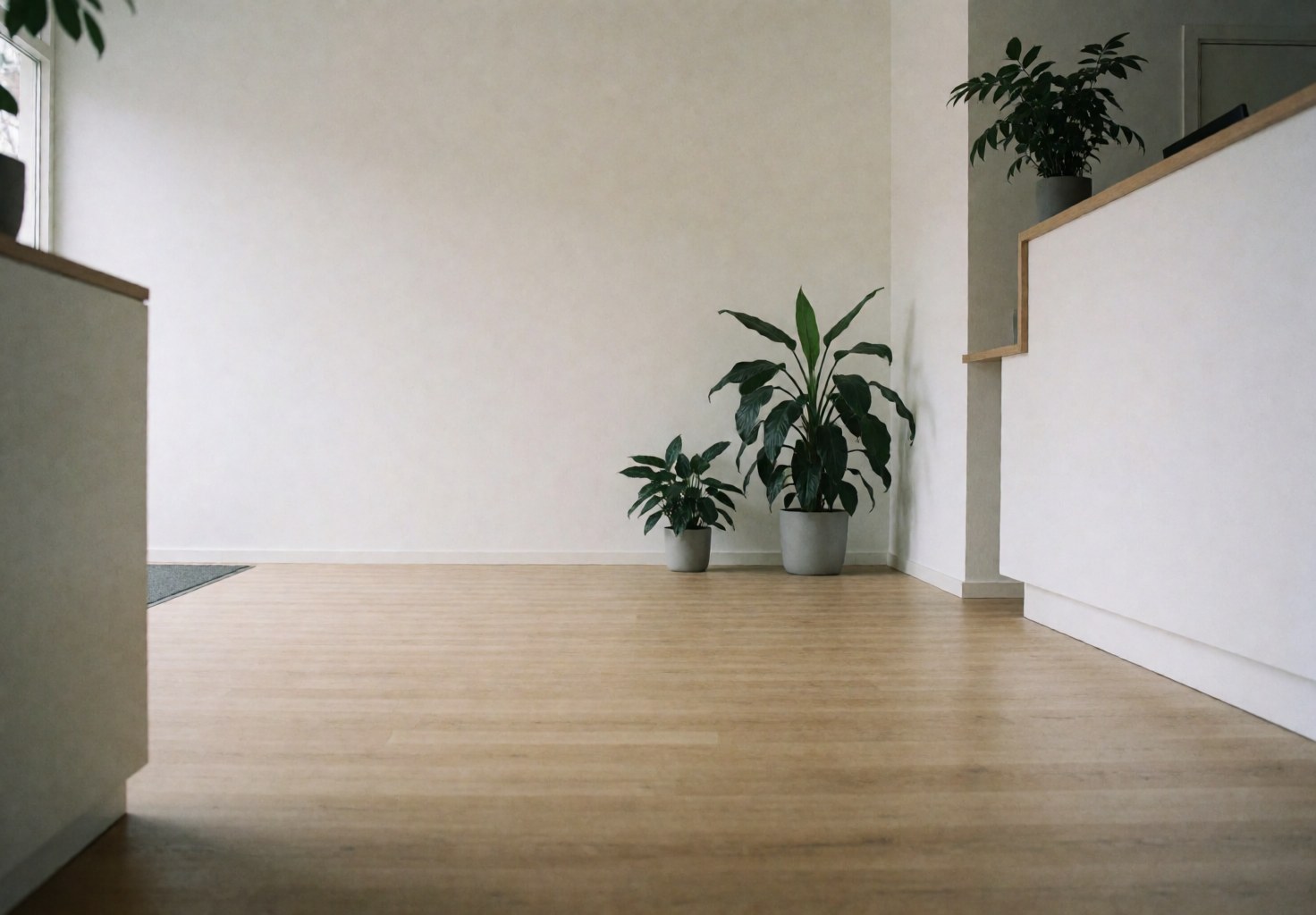Réception d'école de langues avec sol en bois clair, murs blancs et plantes vertes décoratives, ambiance minimaliste et accueillante.
