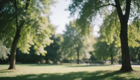 Scène paisible d'un parc avec des arbres verts et une lumière solaire filtrée, idéale pour superposer du texte commercial.