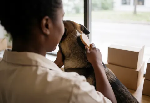 Une femme de dos utilise une brosse en bois pour entretenir le pelage d'un chien près d'une fenêtre éclairée par la lumière naturelle dans un salon de toilettage canin.