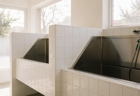 Intérieur d'un salon de toilettage pour chiens avec des baignoires en acier inoxydable, des murs blancs et une lumière naturelle provenant de fenêtres, créant un environnement propre et moderne.
