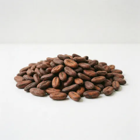 Une pile de fèves de cacao sur fond blanc, mettant en valeur un produit naturel pour les cafés et l'alimentation gourmet.