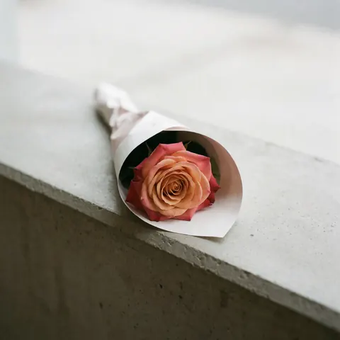 Une rose unique emballée dans du papier blanc repose sur une étagère grise en béton, évoquant élégance et simplicité.