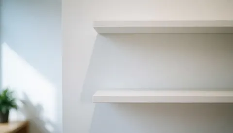 Deux étagères blanches vides contre un mur blanc avec une plante en arrière-plan, créant un fond minimaliste et lumineux pour du texte.