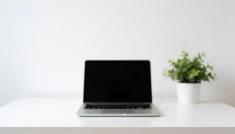 Un ordinateur portable posé sur un bureau blanc accompagné d'une petite plante dans un pot blanc à côté.