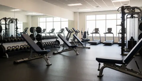 Intérieur d'une salle de fitness contemporaine avec bancs, haltères et machines d'entraînement pour la musculation.