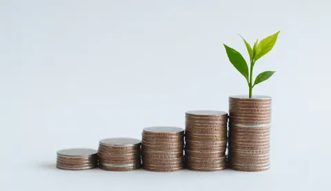 Des pièces d'argent empilées forment une courbe ascendante symbolisant la croissance, surmontée d'une jeune plante verte évoquant le développement durable et financier.