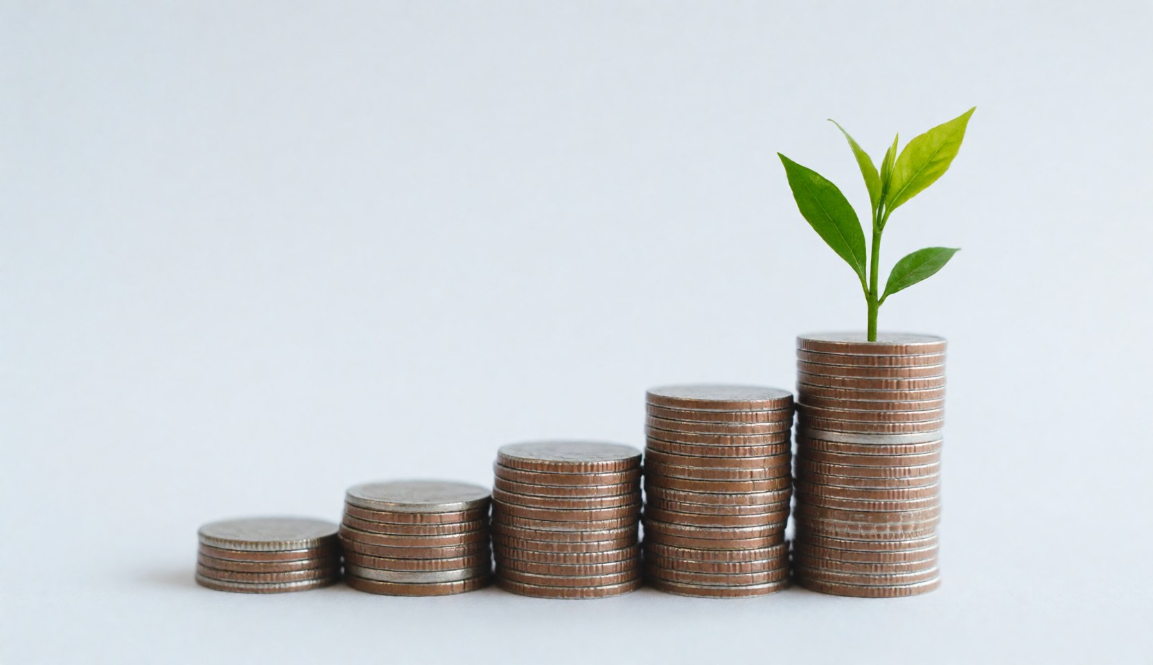 Des pièces d'argent empilées forment une courbe ascendante symbolisant la croissance, surmontée d'une jeune plante verte évoquant le développement durable et financier.