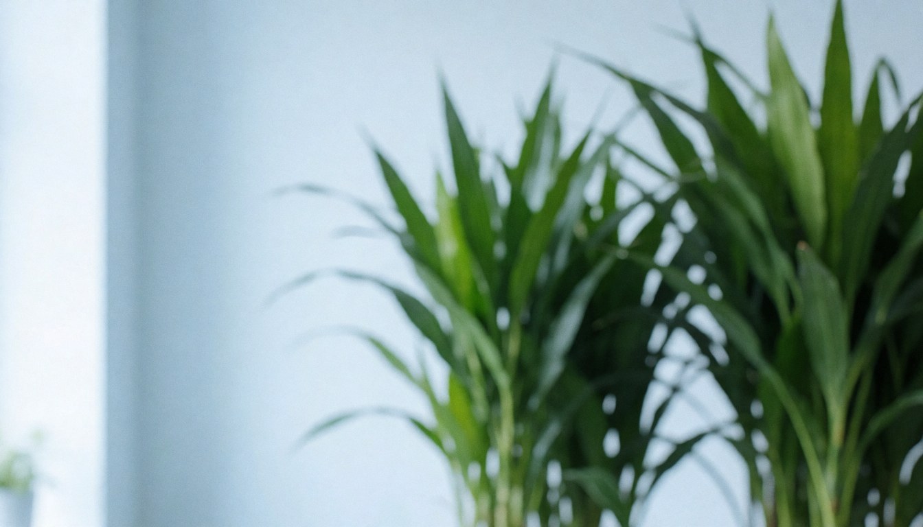 Des plantes vertes décoratives dans un magasin de fleurs avec des murs clairs et une lumière naturelle.