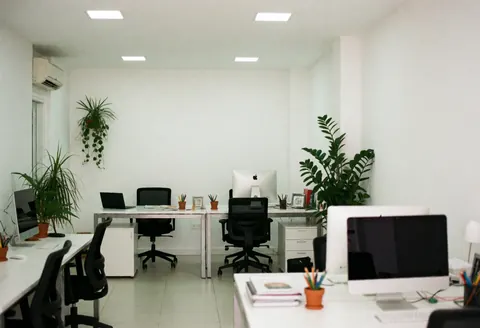 Un bureau moderne équipé de bureaux, d'ordinateurs, de chaises et de plantes vertes dans un environnement propre et minimaliste.