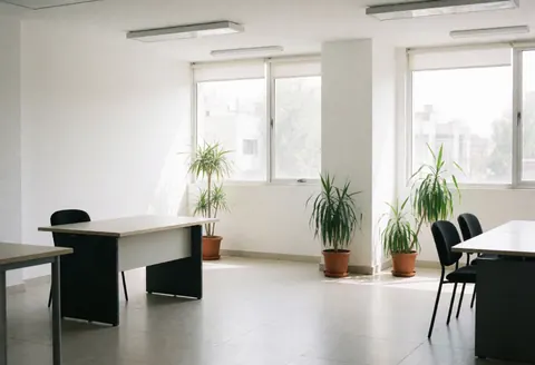 Un bureau moderne et minimaliste, vide et baigné de lumière naturelle grâce à ses grandes fenêtres. L'espace comprend une table, des chaises et plusieurs plantes vertes en pots.