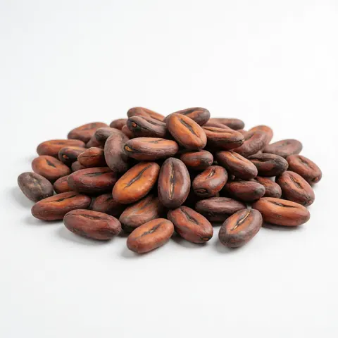 Des grains de cacao crus disposés sur un fond blanc uni, mettant en valeur leur texture naturelle et leur couleur brune caractéristique.