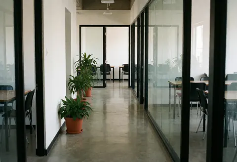 Couloir lumineux d'un centre de langues avec sol poli, plantes en pot, salles équipées de tables et chaises, murs blancs et fenêtres apportant une lumière naturelle.