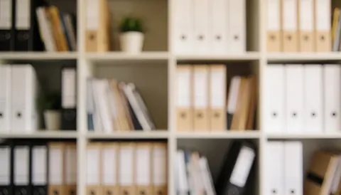 Arrière-plan flou d'étagères en bois contenant des dossiers et des plantes dans un environnement de bureau professionnel moderne.