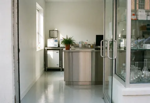 Entrée d'un laboratoire clinique avec réception en acier inoxydable, sol poli, plante en pot et équipement médical visible à travers la porte vitrée.