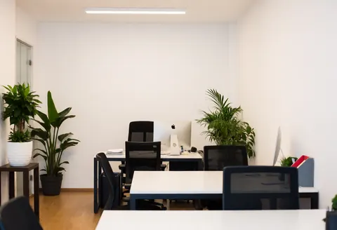 Espace de travail minimaliste et propre avec bureau, chaise, ordinateur, plantes vertes et murs blancs dans un bureau moderne.