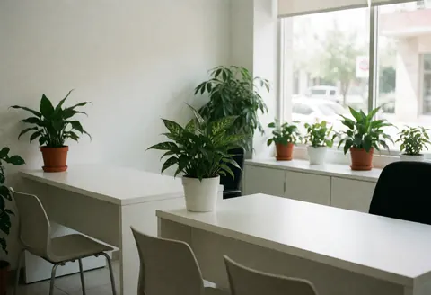 Espace d'accueil d'entreprise lumineux avec tables blanches, chaises, plantes vertes et grandes fenêtres laissant entrer la lumière naturelle.
