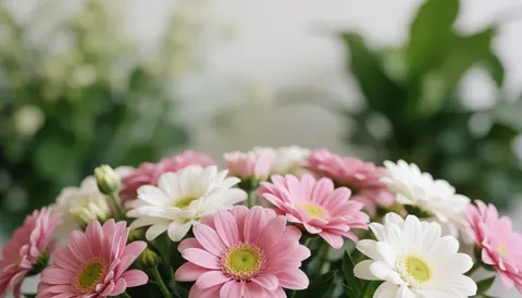 Arrière-plan flou composé de fleurs roses servant de fond pour textes, bannières ou sites web.