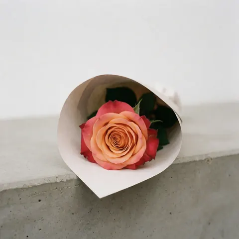 Une seule rose est photographiée de manière détaillée, reposant sur un sol ou une table en béton brut, mettant en valeur sa texture et son esthétique minimaliste.