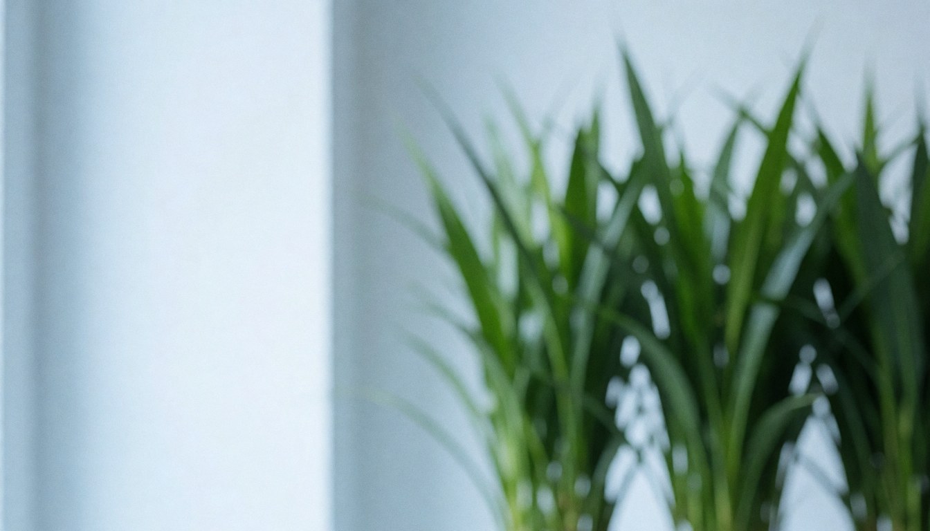 Arrière-plan de plantes vertes dans une fleuristerie avec espace pour texte, éclairage doux et propre, idéal pour un site web professionnel.