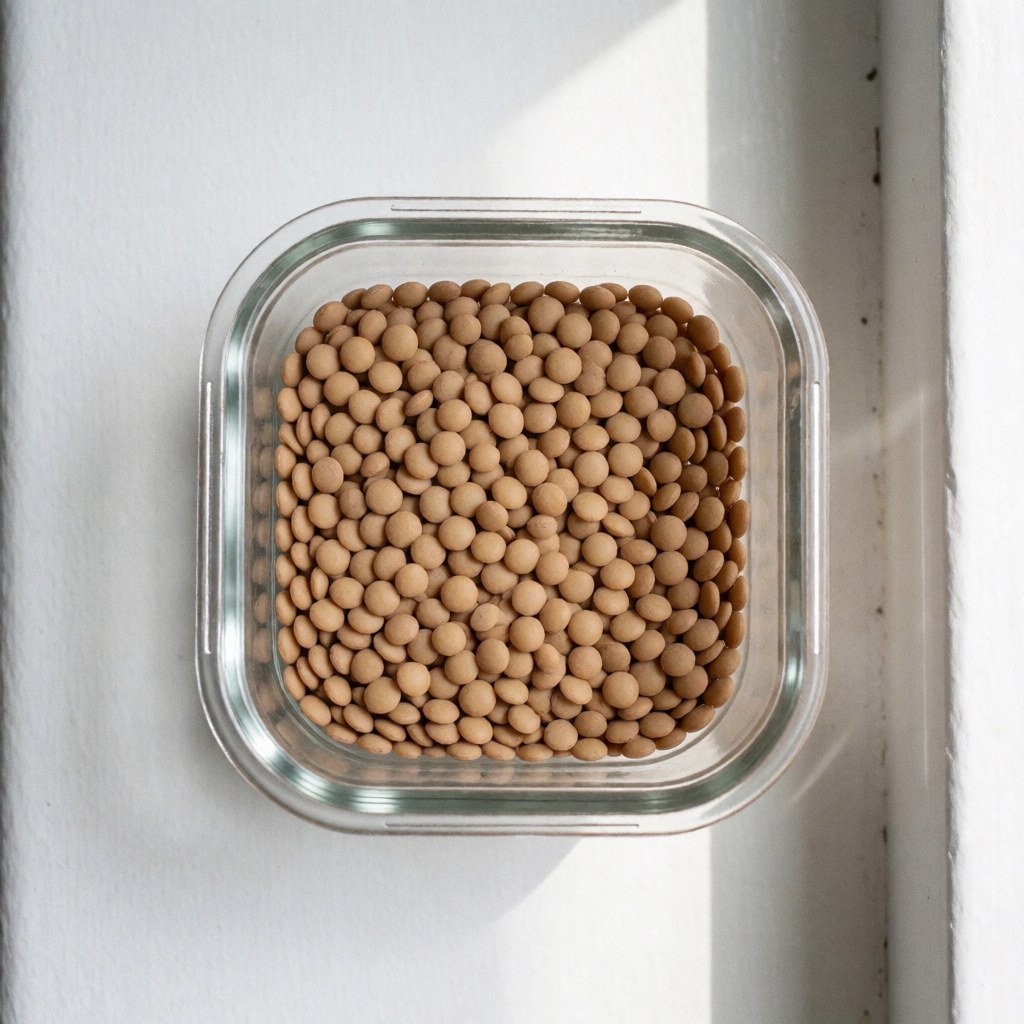 Des lentilles brunes séchées placées dans un bocal en verre transparent posé sur une surface blanche, éclairage naturel, idéal pour illustrer la nutrition et la santé.