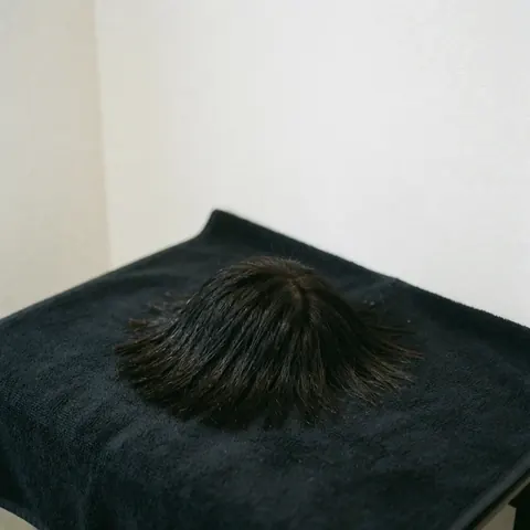 Résultat visible d'une coupe de cheveux réalisée avec précision dans un cadre professionnel.