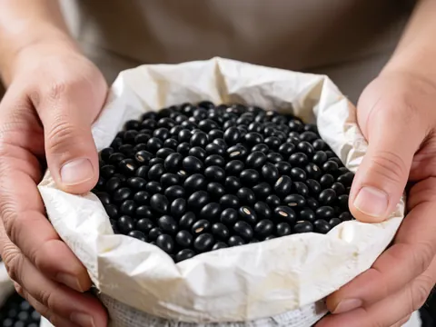 Des mains humaines tiennent un sac en papier rempli de haricots noirs, mettant en valeur la texture des grains sous une lumière naturelle sur un fond flou.