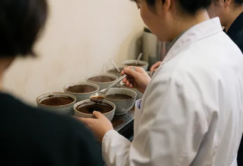 Un professionnel effectue une dégustation de café en laboratoire avec des tasses et des cuillères.