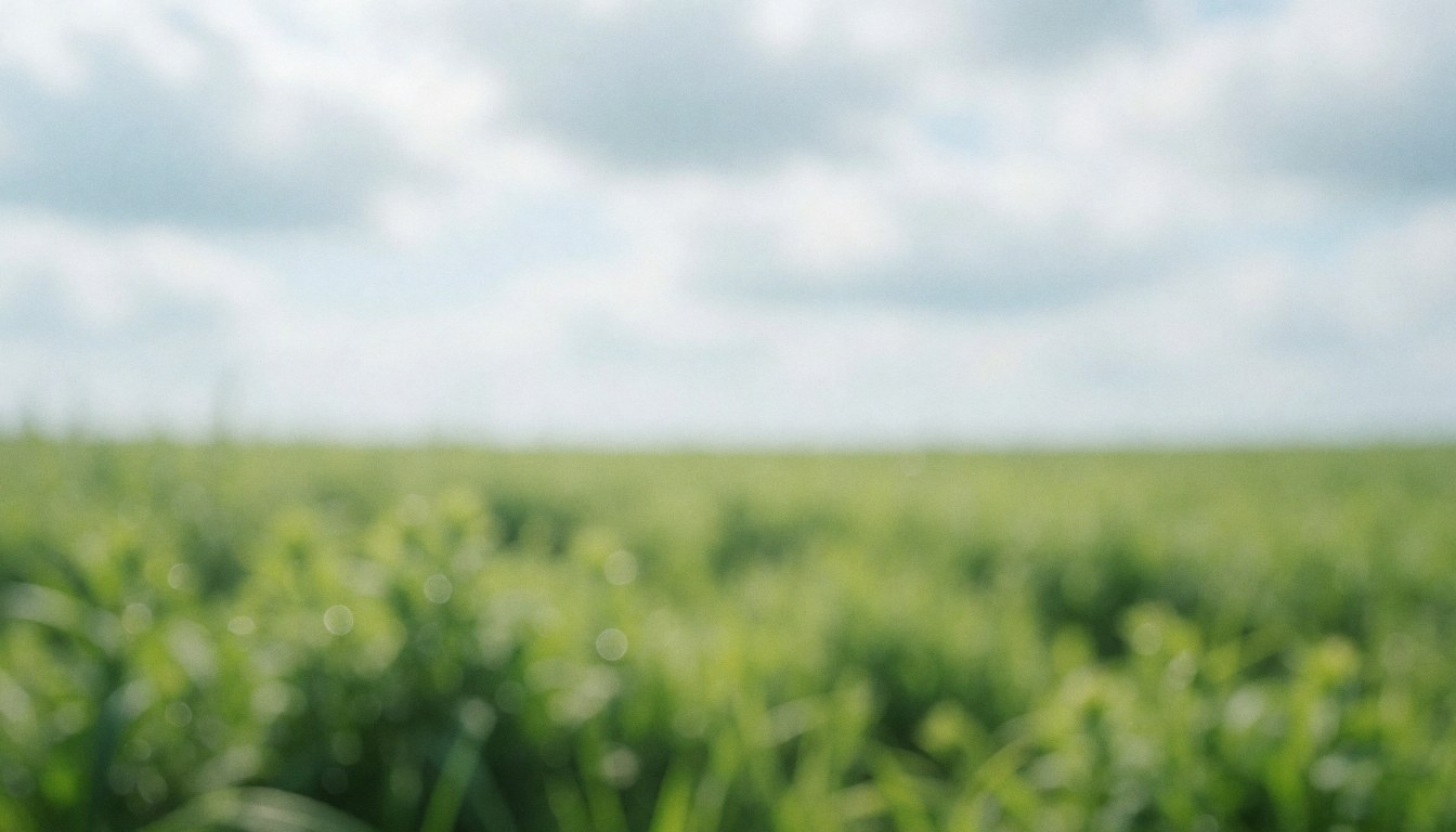 Vue d'un champ verdoyant en arrière-plan flou sous un ciel couvert, offrant un fond naturel idéal pour ajouter du texte.