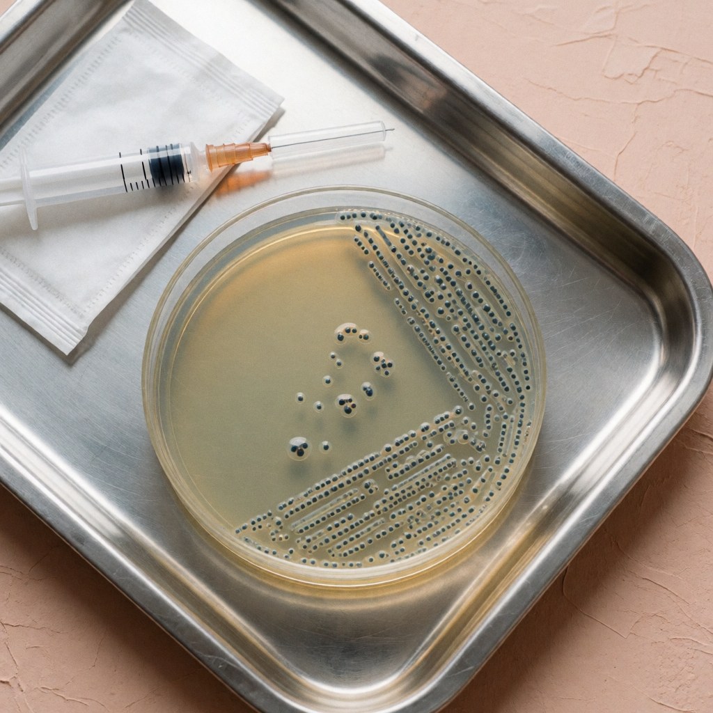 Boîte de Petri contenant des colonies bactériennes, accompagnée d'une seringue et de cotons-tiges disposés dans un plateau métallique, évoquant un environnement clinique stérile pour le diagnostic.