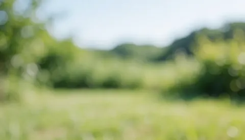 Arrière-plan vert flou avec végétation et montagnes lointaines, idéal pour textes sur soins animaux en extérieur.