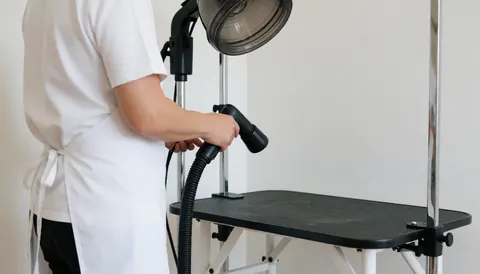 Un groomer professionnel utilise un sècheur sur un chien posé sur une table de travail dans un salon propre et bien éclairé.