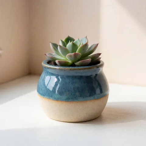 Un pot en céramique artisanale avec base brute et corps glacé bleu, contenant une plante succulente, posé sur une surface blanche éclairée par la lumière naturelle.