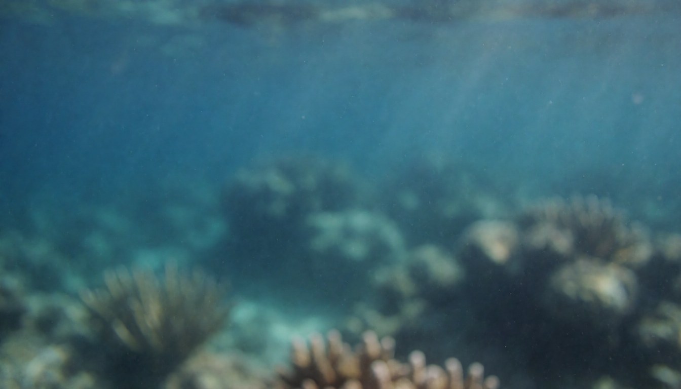Arrière-plan aquatique avec coraux mous et lumière filtrée, idéal pour textes ou présentations. Dominante de couleurs bleues et turquoise.