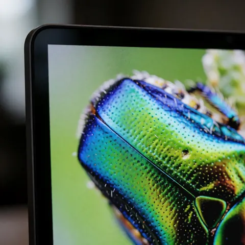 Écran d'ordinateur affichant une macrophotographie détaillée d'un insecte à l'exosquelette iridescent aux teintes vertes et bleues sur fond sombre flou.