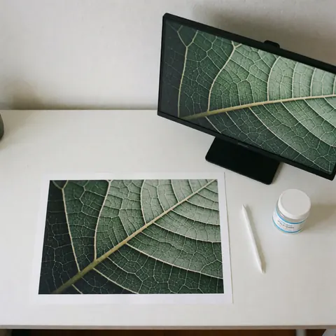 Vue macro d'une feuille verte imprimée posée sur un écran, avec un stylet et un nettoyant, sur un bureau blanc minimaliste.