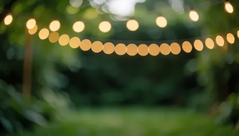 Fond flou d'un jardin avec des lumières chaudes et du feuillage vert, idéal pour les événements en plein air et le texte.
