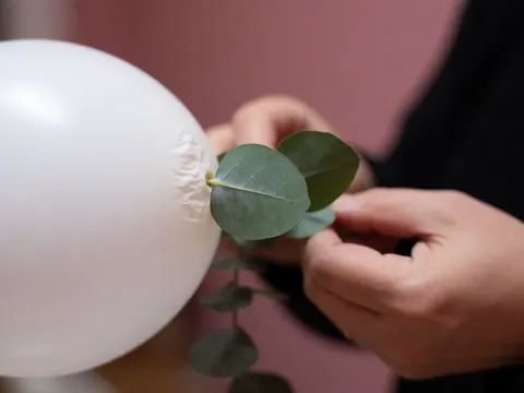 Des mains d'adulte placent délicatement une feuille verte d'eucalyptus sur la surface d'un ballon blanc, créant un détail de décoration pour événement sur fond rose flou.