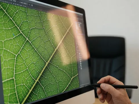 Une main utilise un stylet pour éditer une image macro d'une feuille verte détaillée sur un écran, dans un bureau avec chaise en arrière-plan.