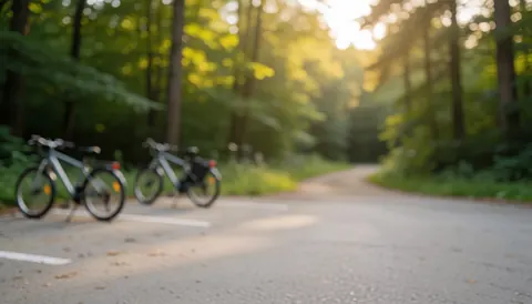 Deux vélos de montagne garés près d'un sentier en forêt, baignés par la lumière dorée du soir avec un arrière-plan verdoyant flou.
