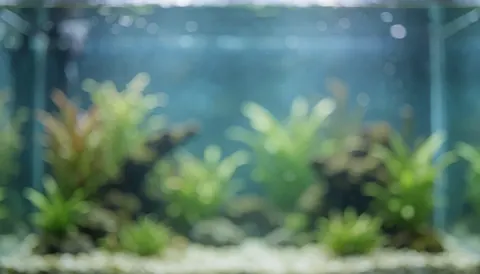 Arrière-plan d'aquarium avec des plantes vertes, de l'eau bleue et un effet bokeh doux, idéal pour ajouter du texte commercial.