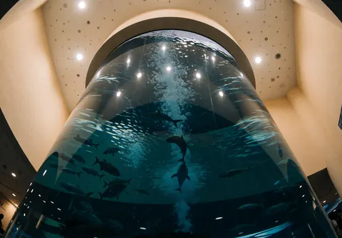 Immense réservoir aquatique incurvé abritant des poissons évoluant dans une eau bleue, reflets lumineux au plafond sur la surface, murs beige clair et absence de personnes.