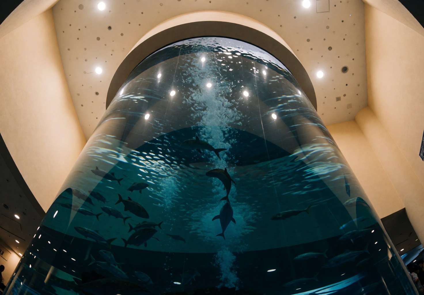 Immense réservoir aquatique incurvé abritant des poissons évoluant dans une eau bleue, reflets lumineux au plafond sur la surface, murs beige clair et absence de personnes.
