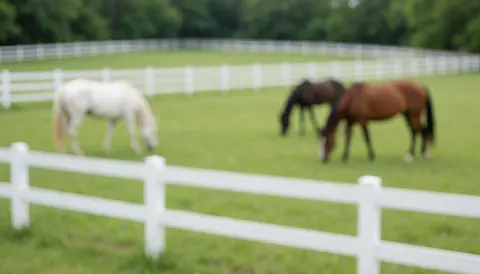 Fond d'herbe verte avec des chevaux qui broutent et des clôtures blanches, idéal pour illustrer les services équestres.