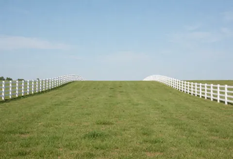 Herbe verte brillante avec des clôtures blanches courbes s'étendant vers l'horizon sous un ciel bleu clair, idéal pour un centre équestre.