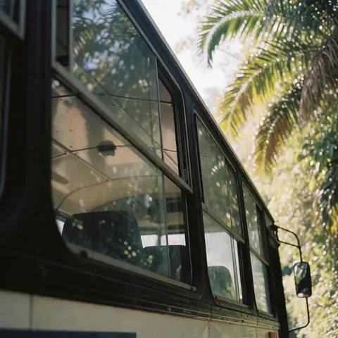 Un bus touristique avec de larges vitres et un châssis robuste se trouve au milieu d'une végétation luxuriante éclairée par une lumière solaire tamisée, idéal pour des excursions en pleine nature.