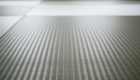 Fond de tatami gris dans un dojo, idéal pour les textes, offrant une ambiance sereine et professionnelle pour les académies d'arts martiaux.