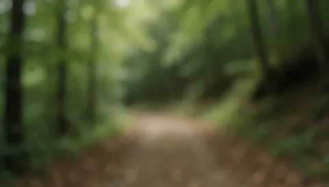 Chemin de terre entouré d'arbres verts dans une forêt, avec un fond doux et diffus idéal pour ajouter du texte sur des images liées au cyclisme.