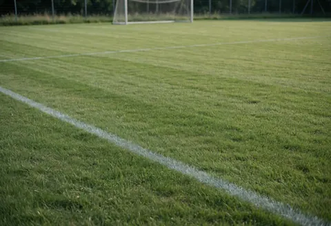 Terrain de football en herbe naturelle avec lignes blanches, pelouse verte et but métallique, idéal pour un entraîneur de football.